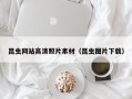 河间昆虫网站高清照片素材（昆虫图片下载）